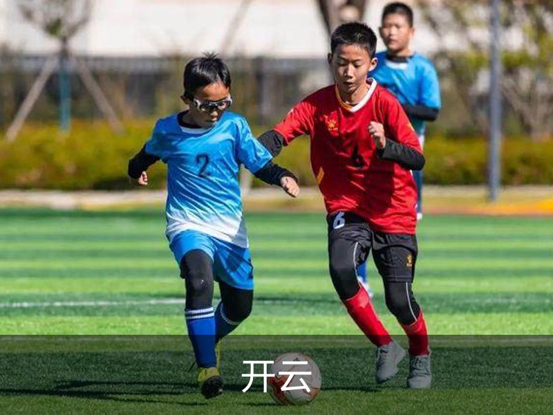 了解开云