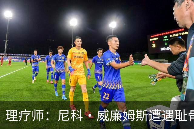 理疗师：尼科·威廉姆斯遭遇耻骨炎，能出场但无法完成100%加减速