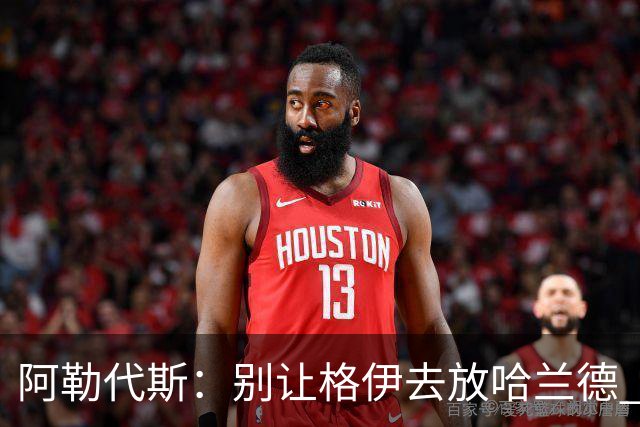 阿勒代斯：别让格伊去放哈兰德 应该让孔萨或者丹·伯恩去限制他
